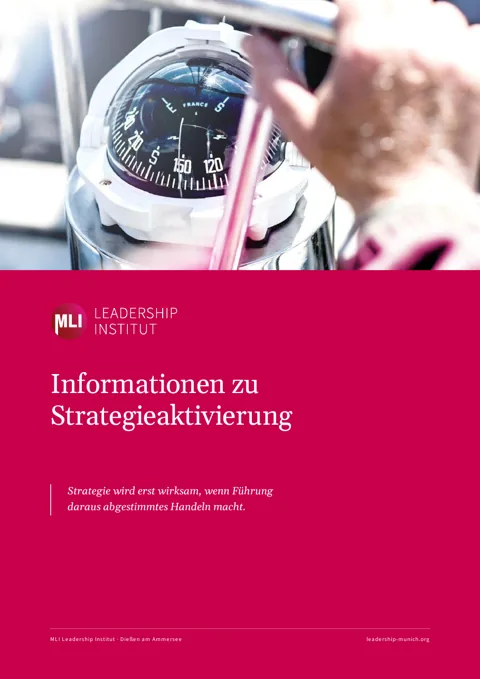 Cover der Broschüre Strategieaktivierung